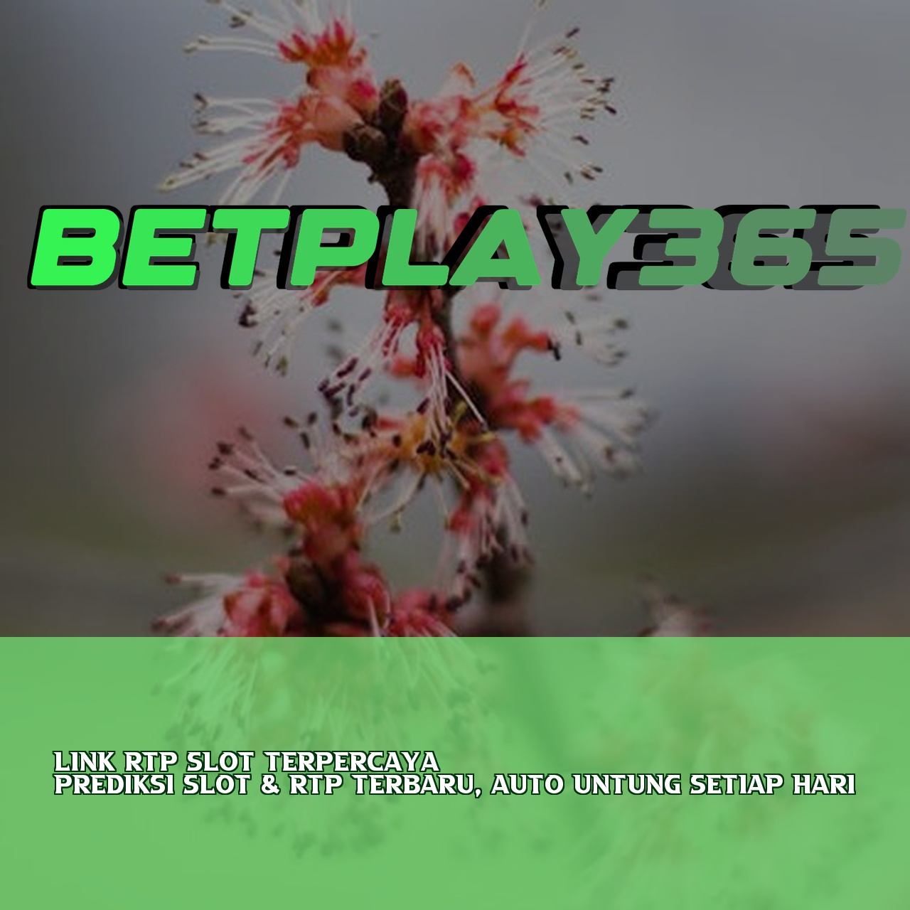 BETPLAY365