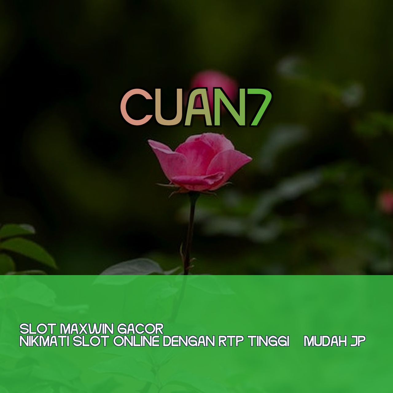 CUAN7