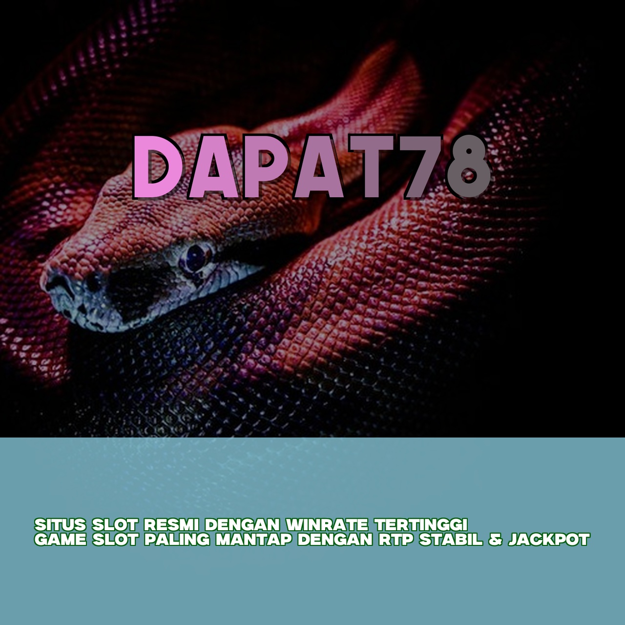DAPAT78