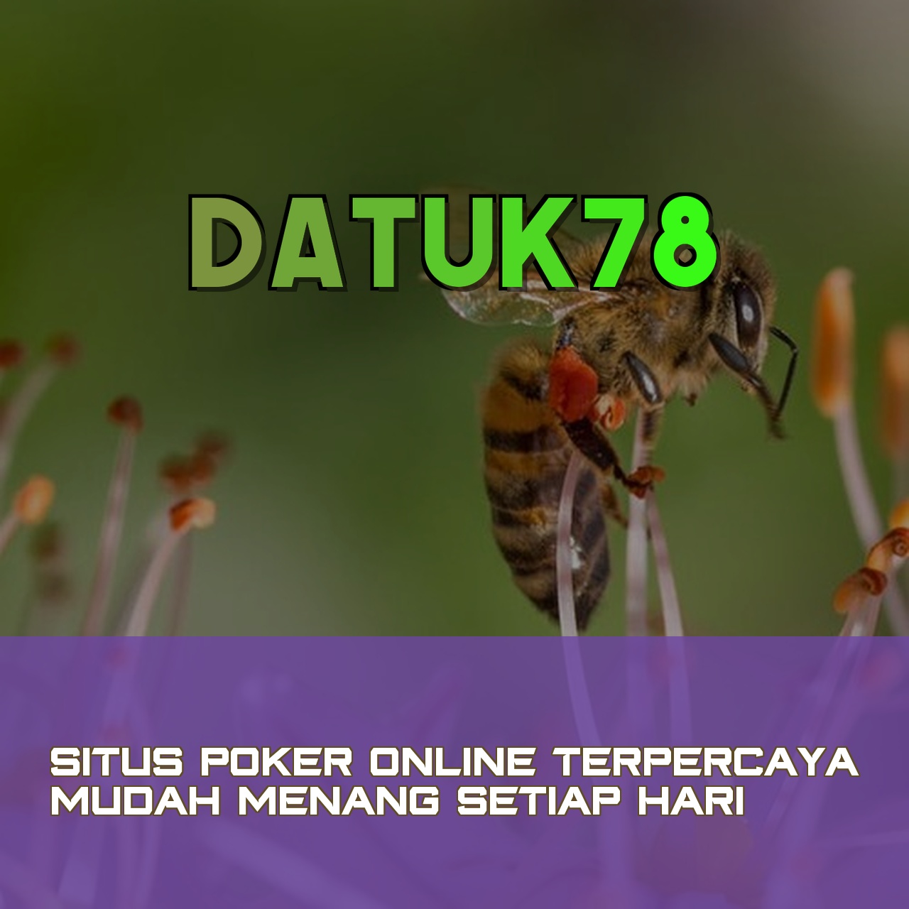 DATUK78