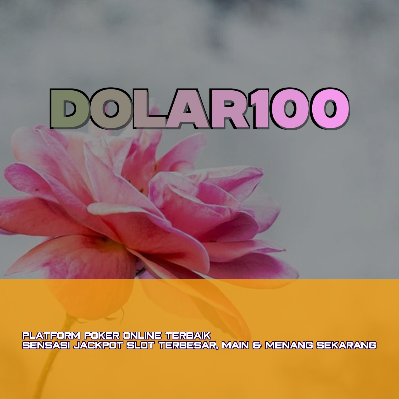 DOLAR100