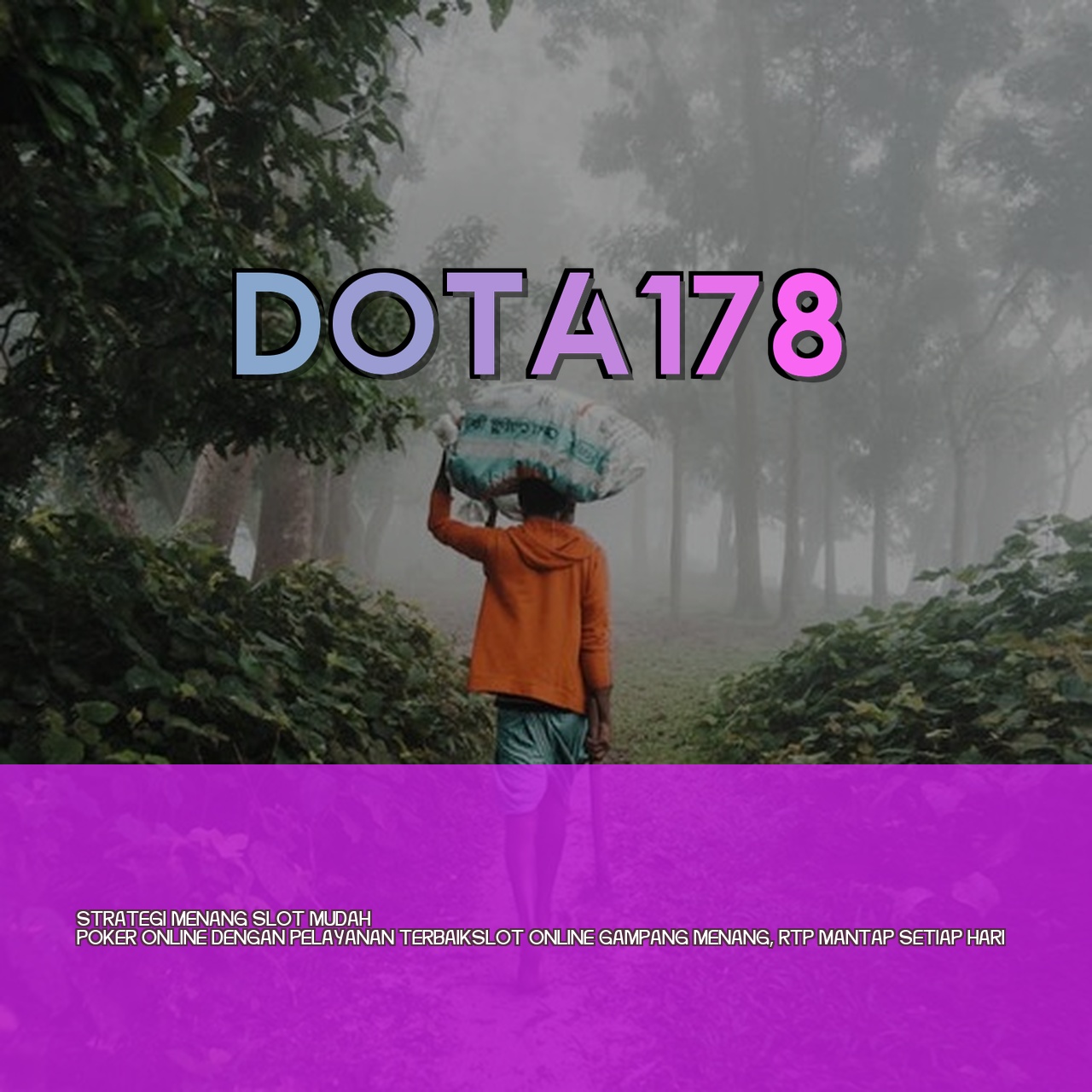 DOTA178
