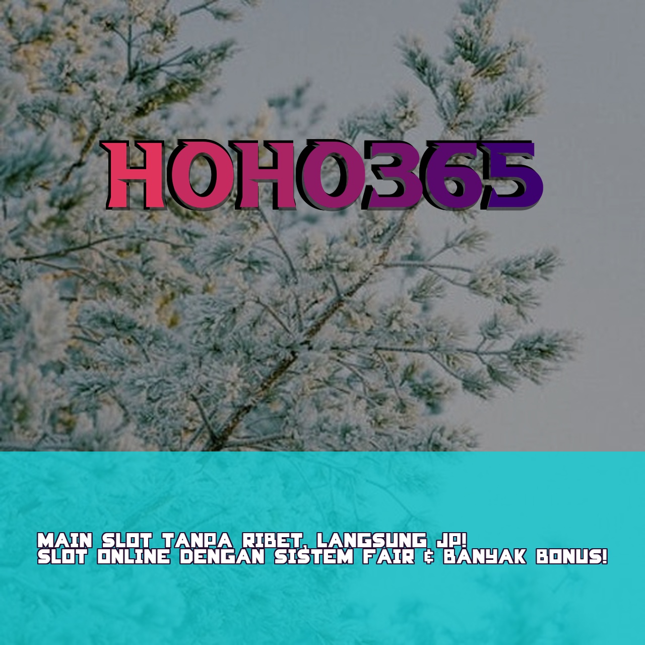 HOHO365