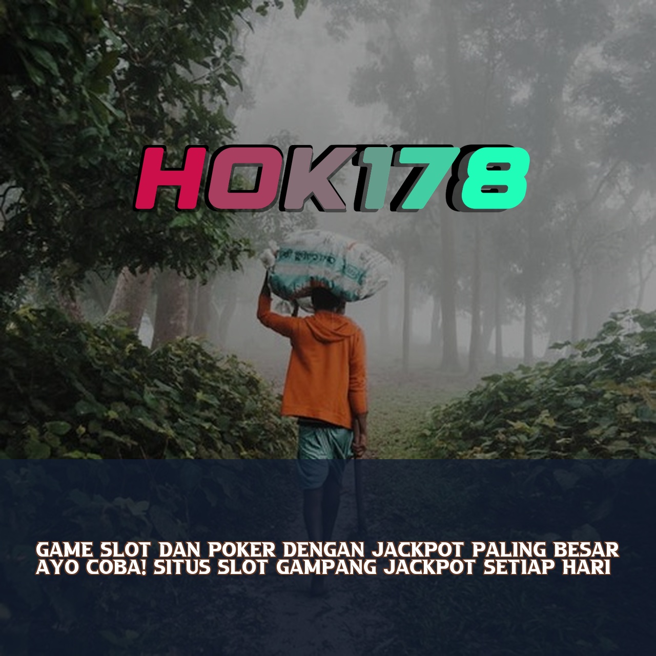 HOK178
