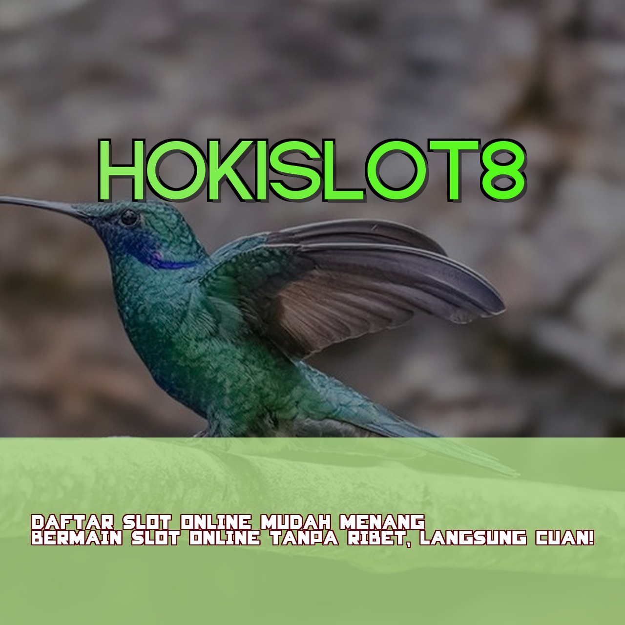HOKISLOT8