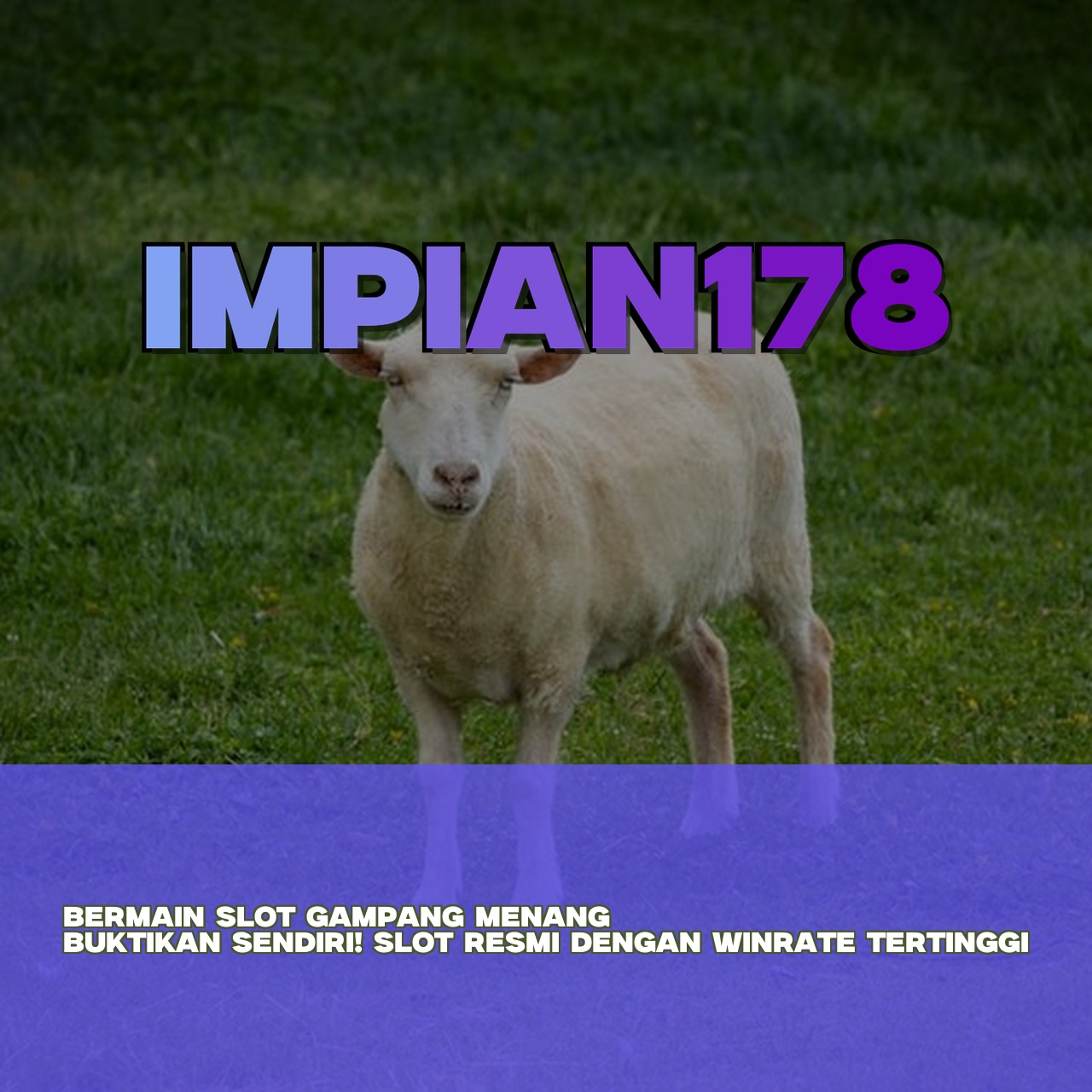 IMPIAN178