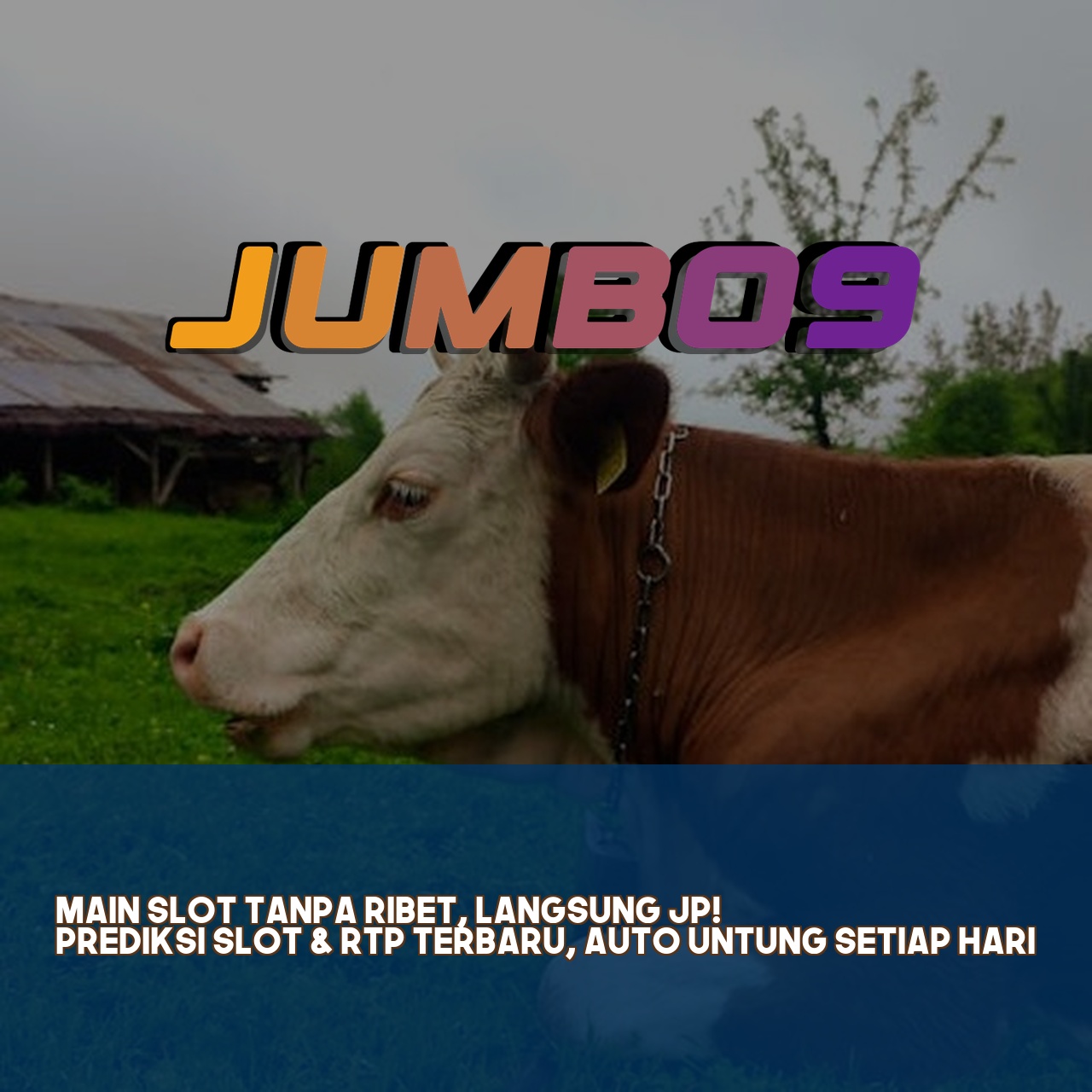 JUMBO9