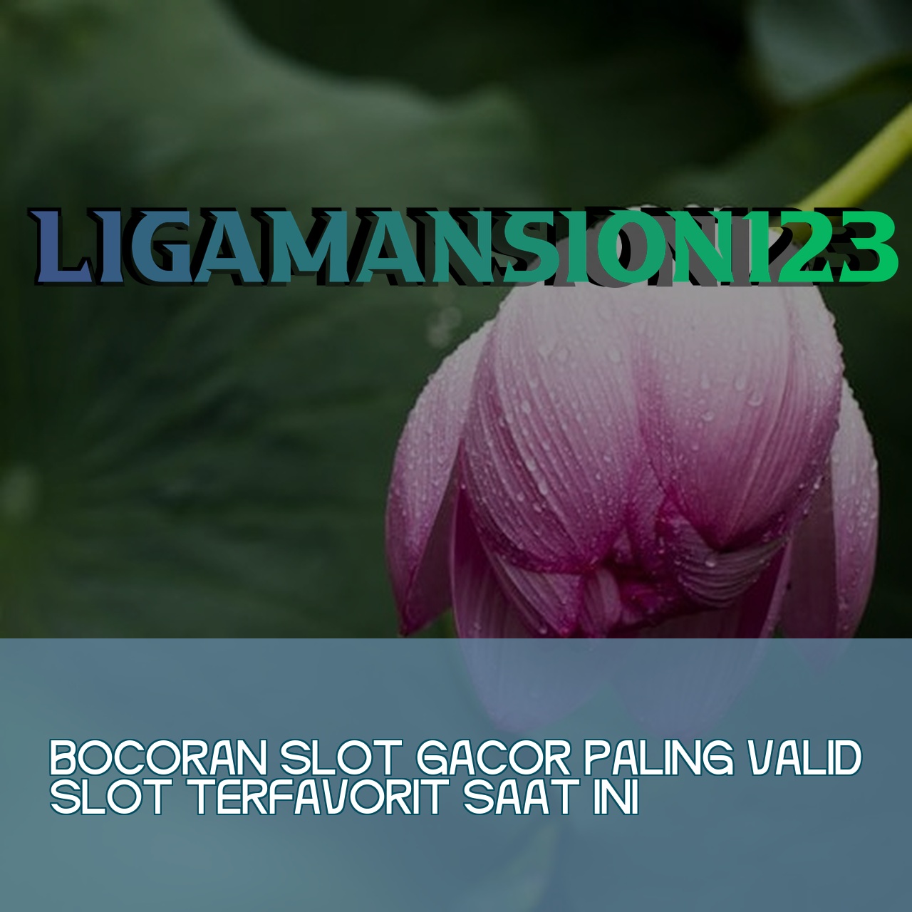 LIGAMANSION123