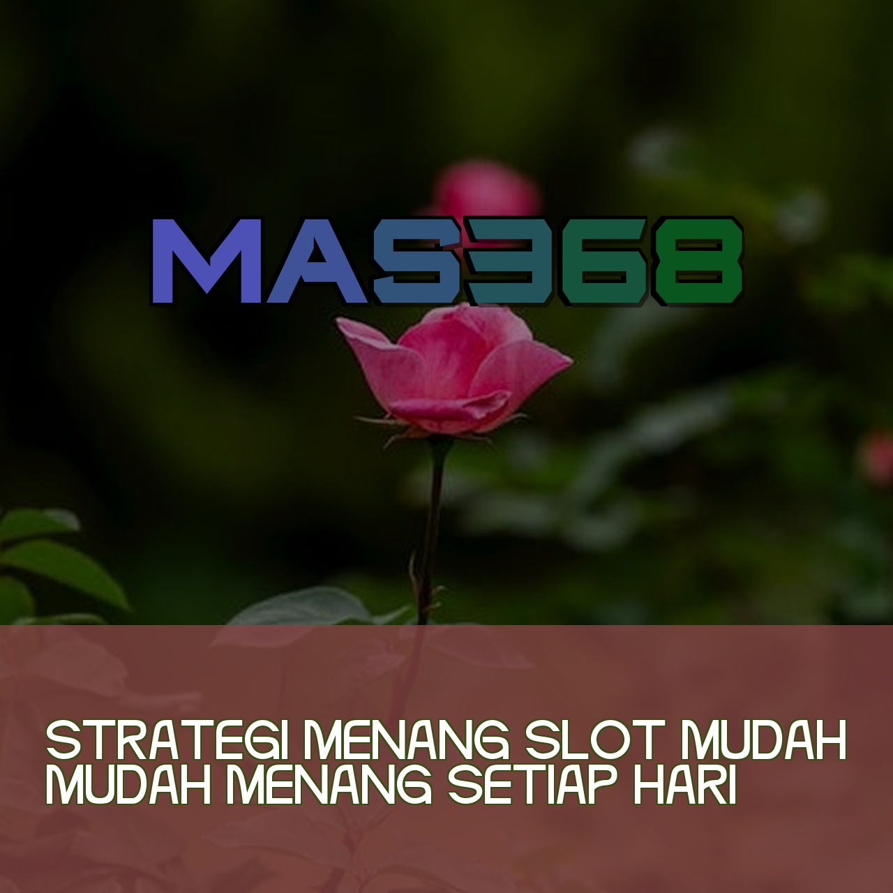 MAS368