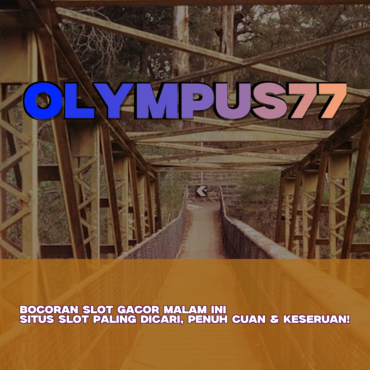 OLYMPUS77