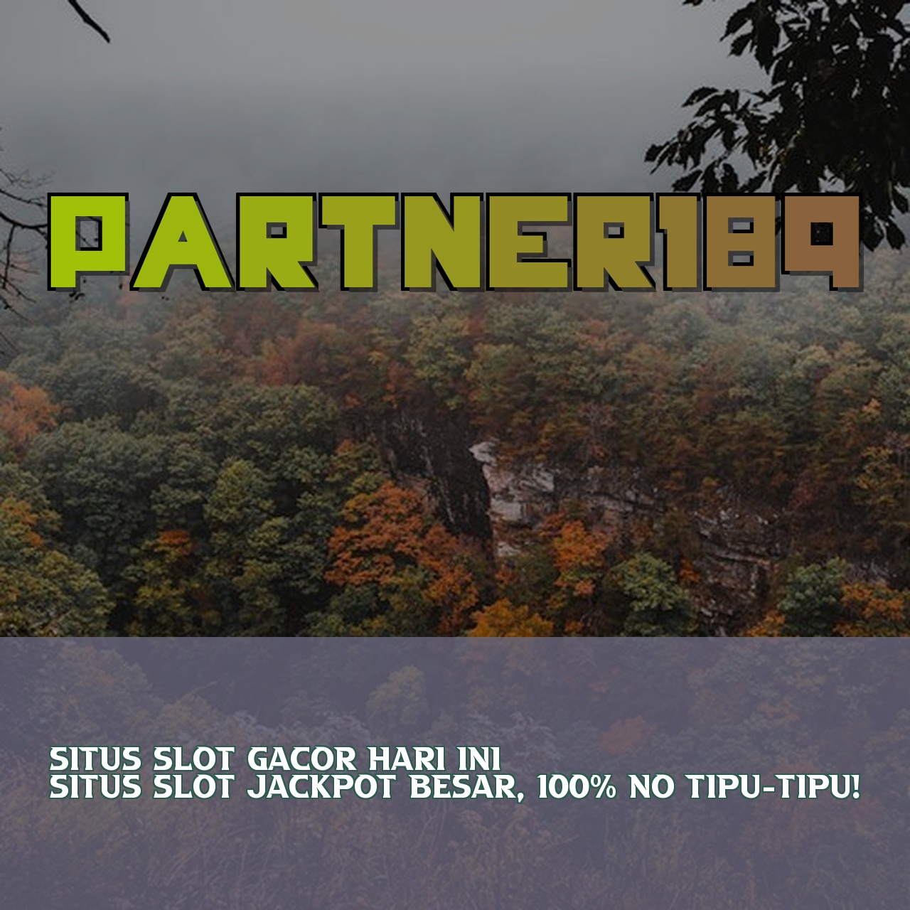 PARTNER189