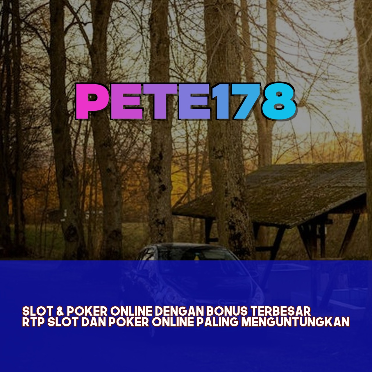 PETE178