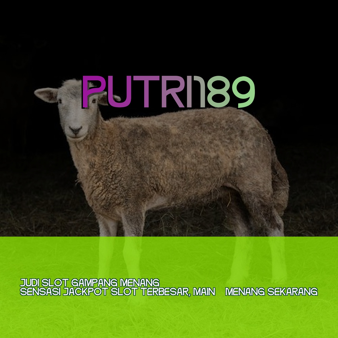 PUTRI189