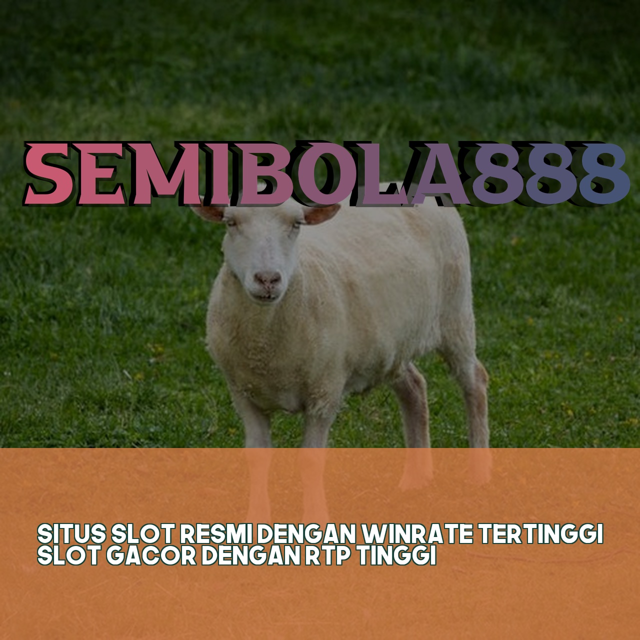 SEMIBOLA888