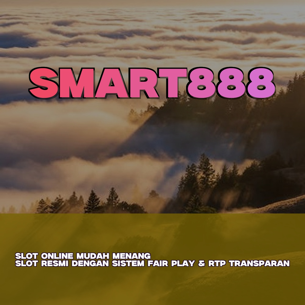 SMART888