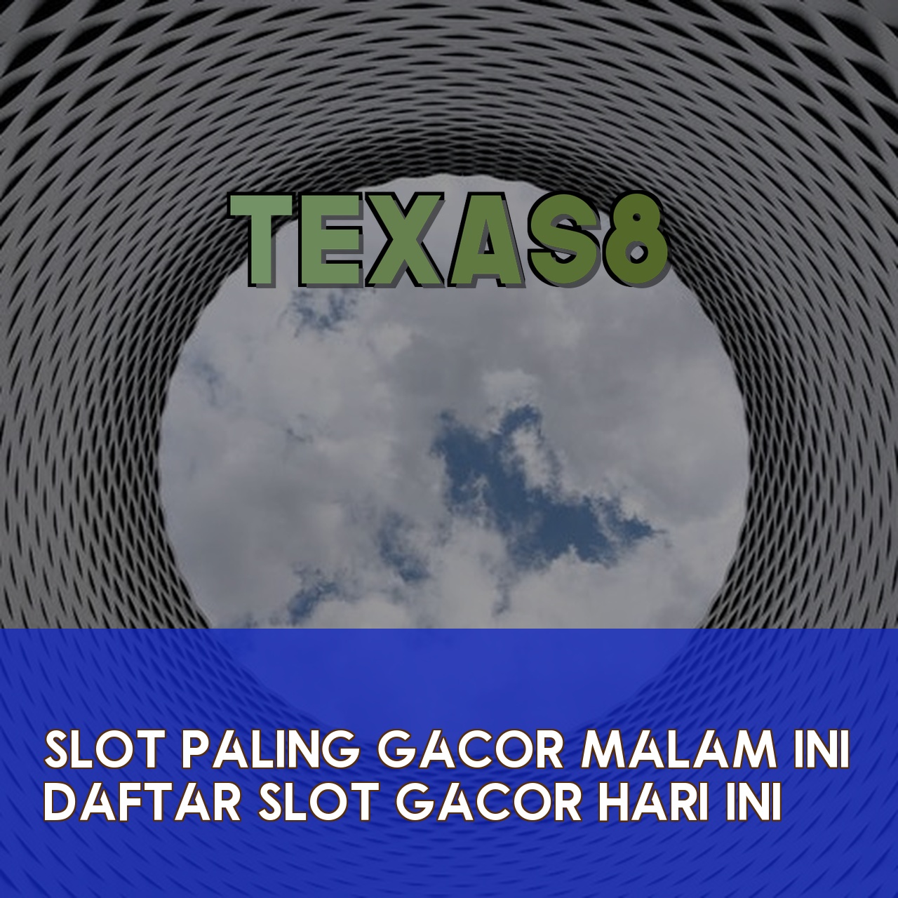 TEXAS8