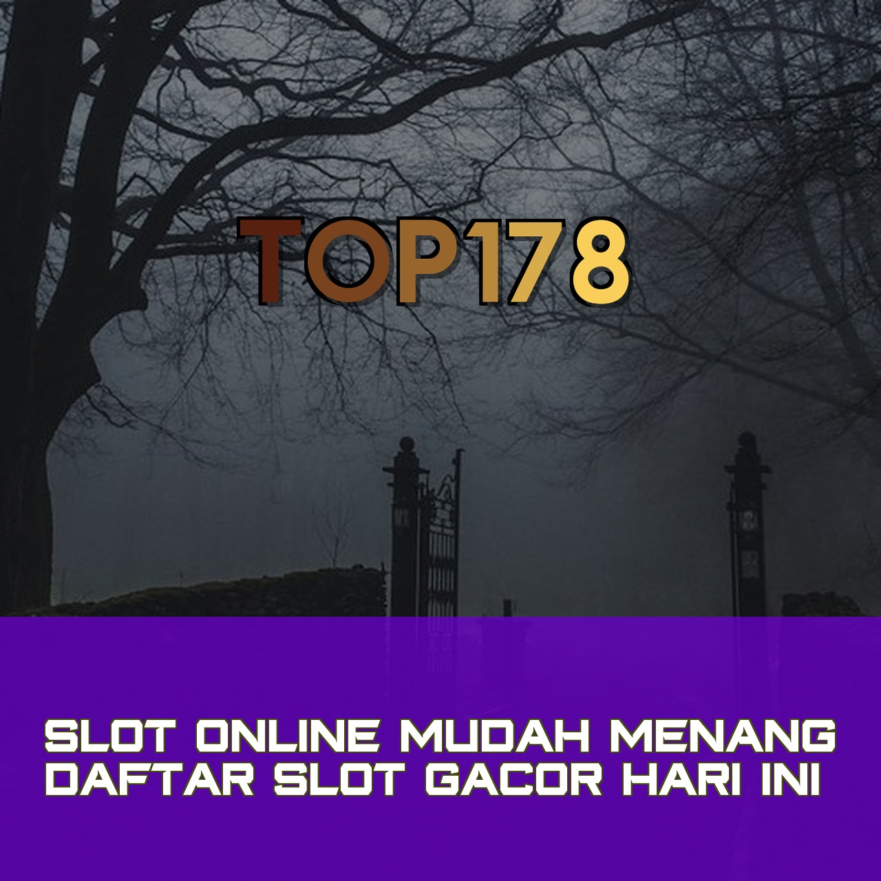 TOP178