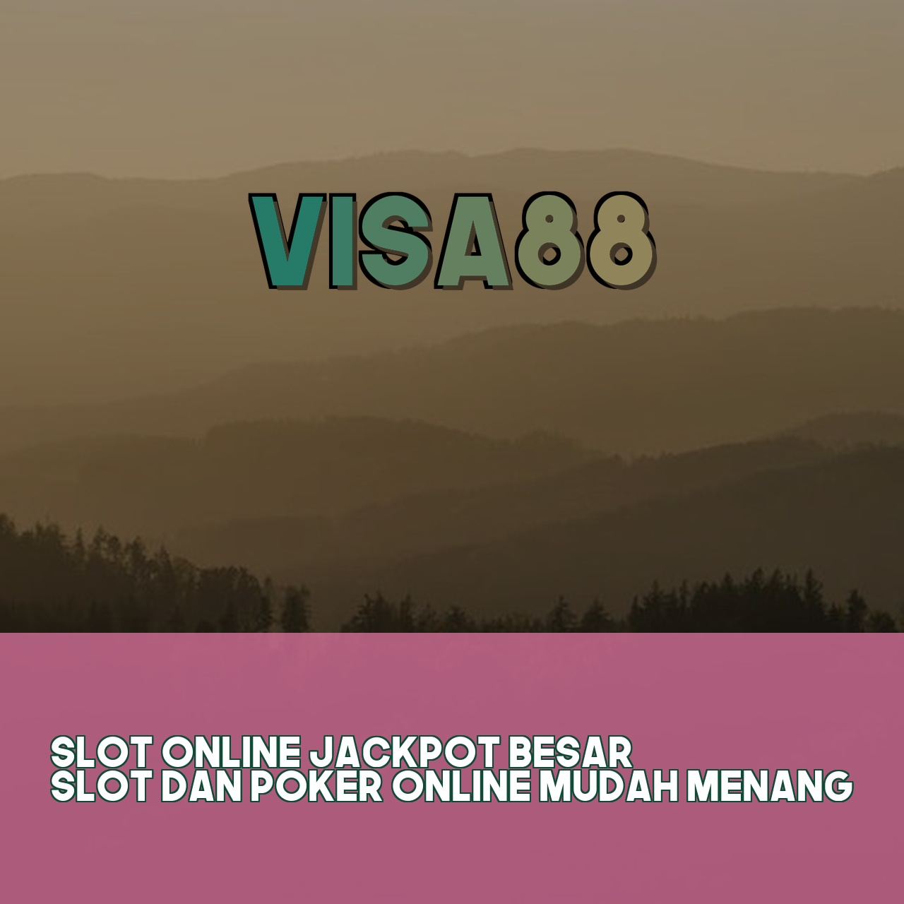 VISA88