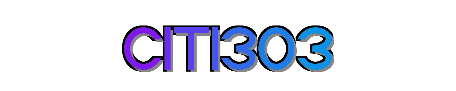 CITI303